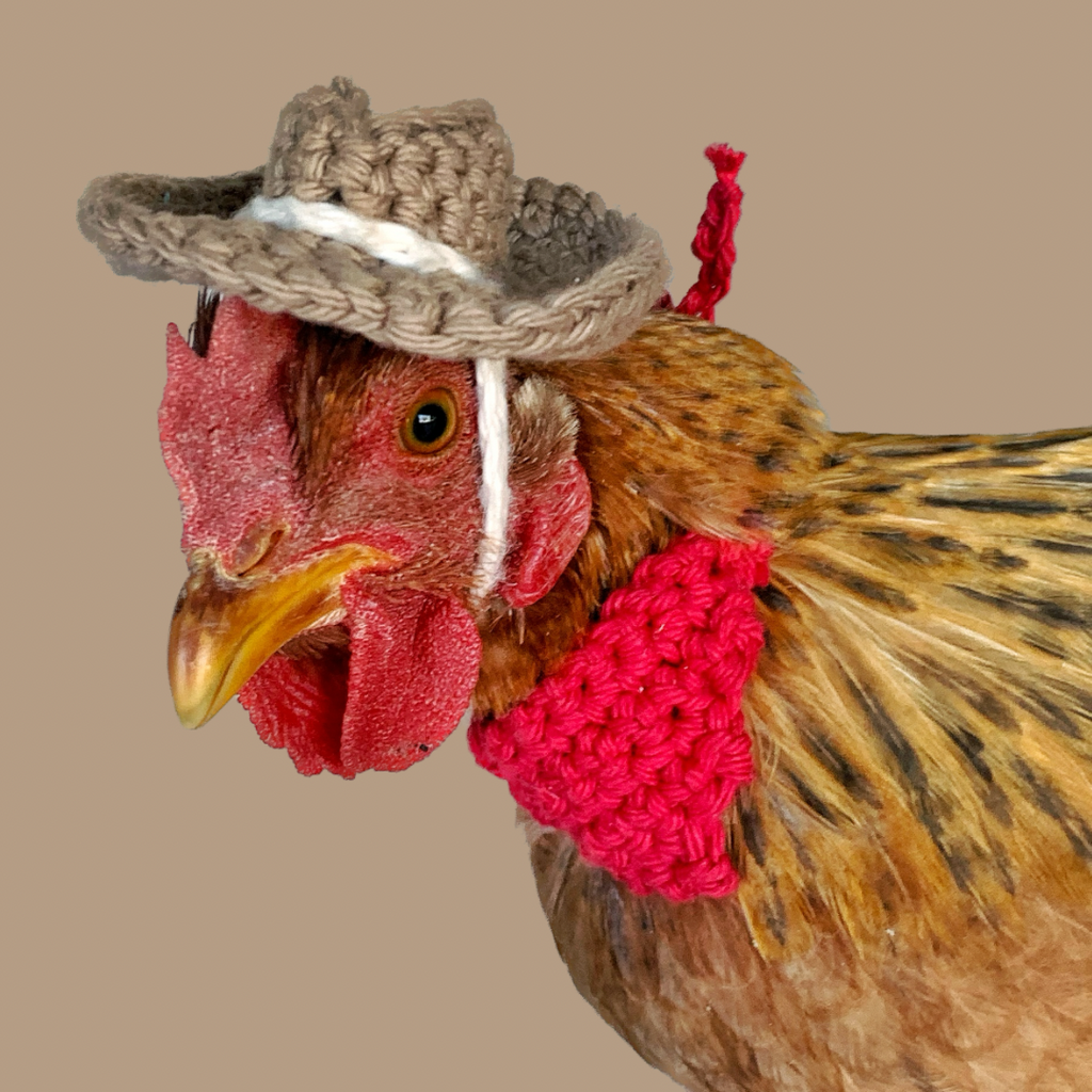 Chicken Hats Crochet Pattern