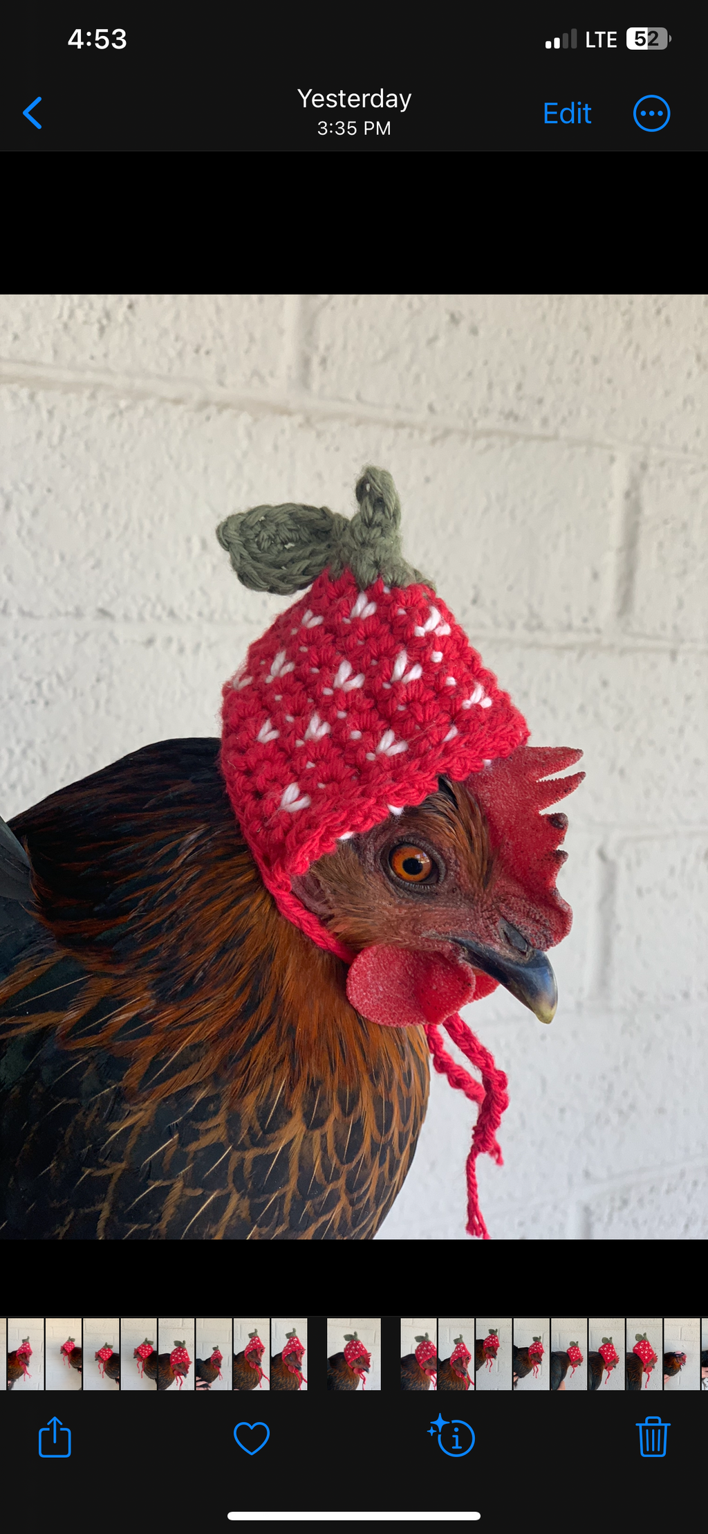 Chicken Hats Crochet Pattern