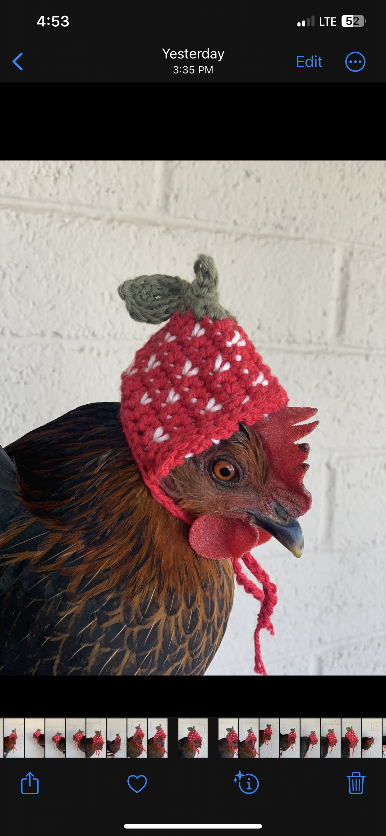 Chicken Hats Crochet Pattern